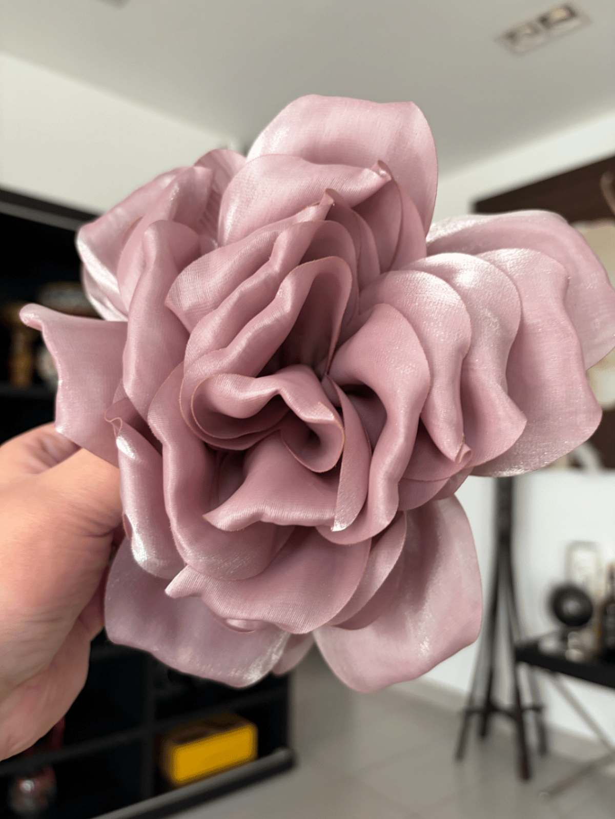 Klipp tax-Xagħar Kbir tas-Satin Rose - photo 2