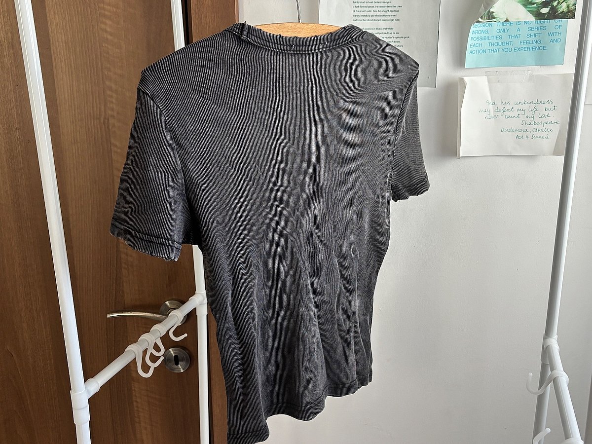 T-Shirt Iswed b'Kustilji Zara - photo 2