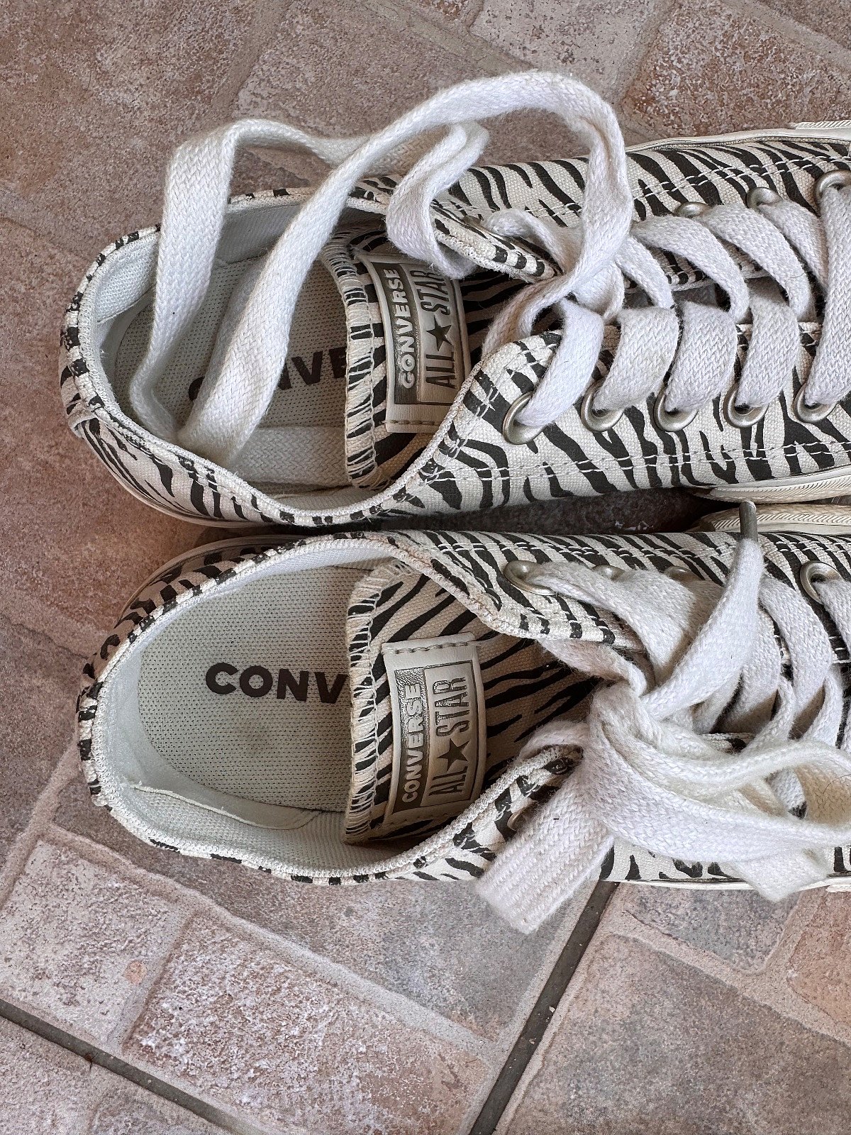 Sneakers Converse bi Stampar Zebra - photo 2