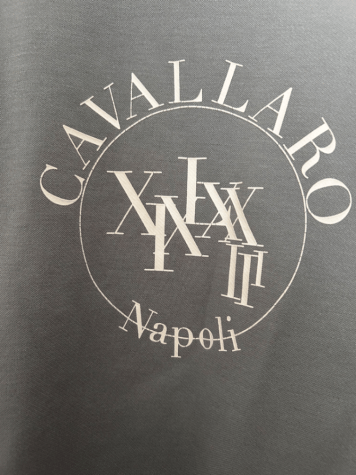 Felpa Cavallaro Napoli con logo grigio - photo 2